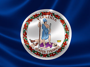 State Flag